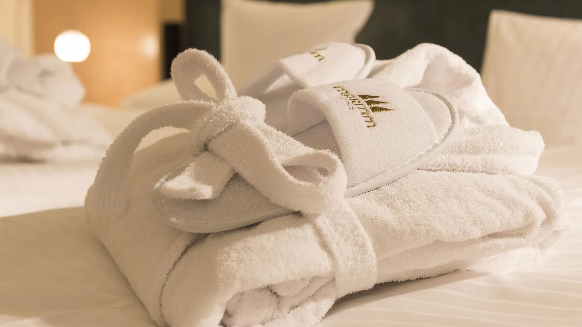 Maritim Proarte Hotel Berlin