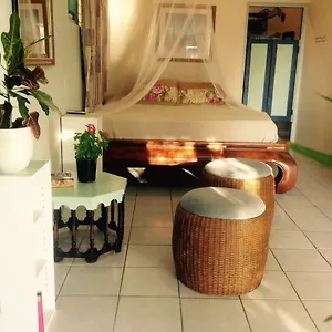 magical-garden.comcaribbean.com/